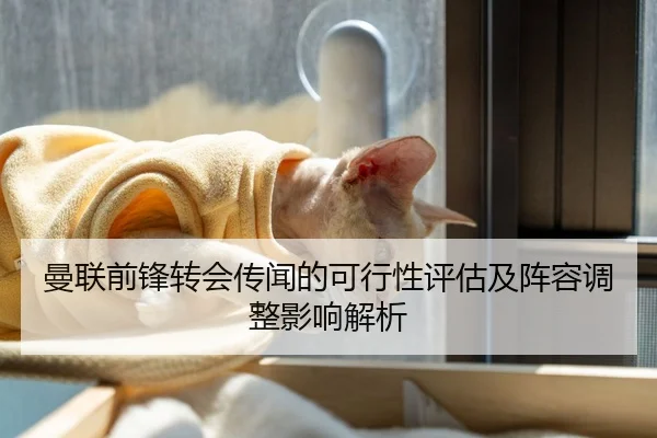 曼联前锋转会传闻的可行性评估及阵容调整影响解析